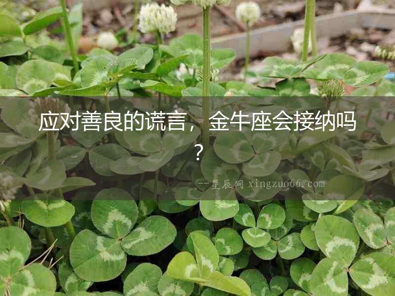 應對善良的謊言，金牛座會接納嗎？