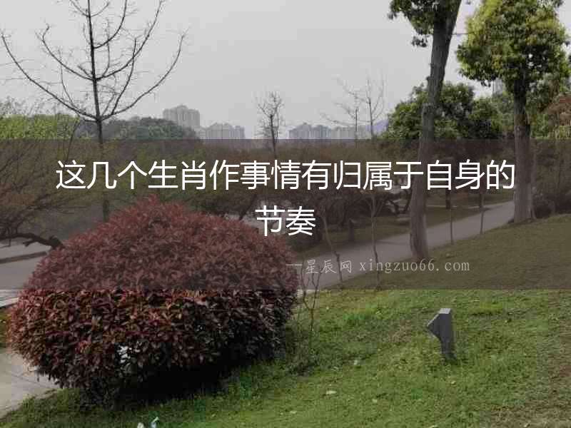 這幾個生肖作事情有歸屬于自身的節奏