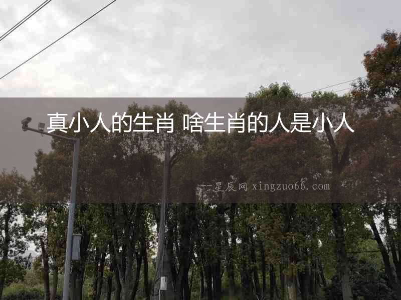 真小人的生肖 啥生肖的人是小人