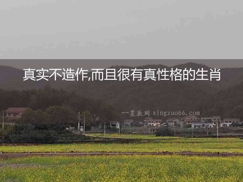 真實(shí)不造作,而且很有真性格的生肖