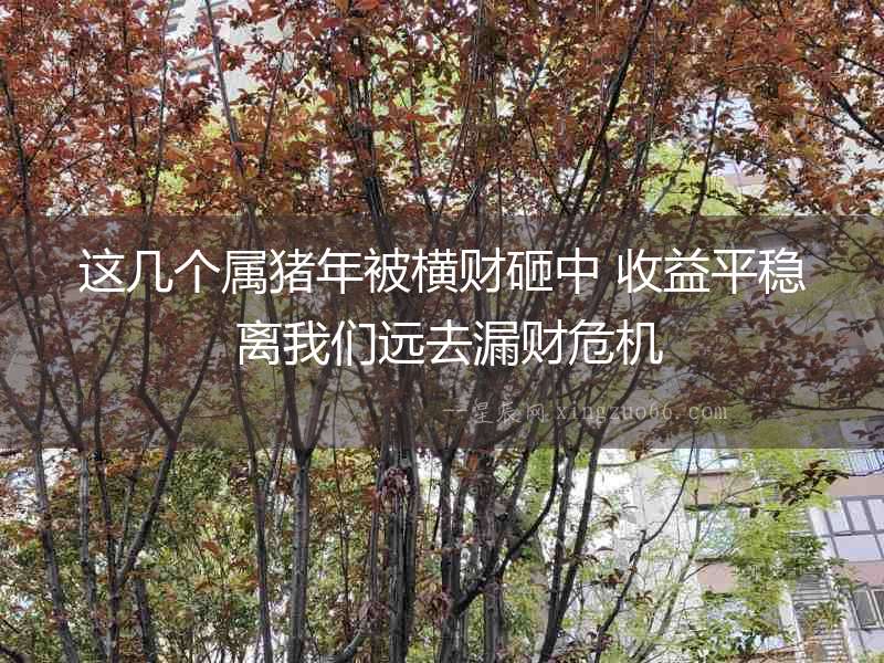 這幾個(gè)屬豬年被橫財(cái)砸中 收益平穩(wěn) 離我們遠(yuǎn)去漏財(cái)危機(jī)