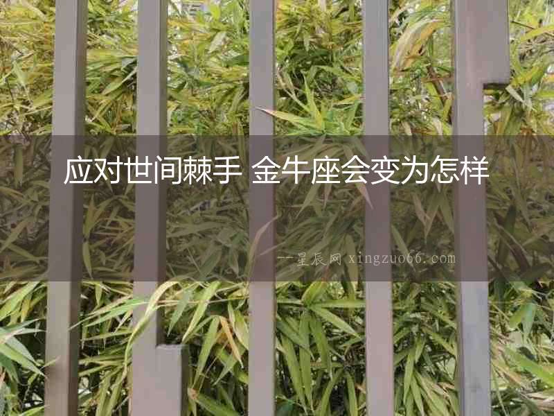 應對世間棘手 金牛座會變為怎樣
