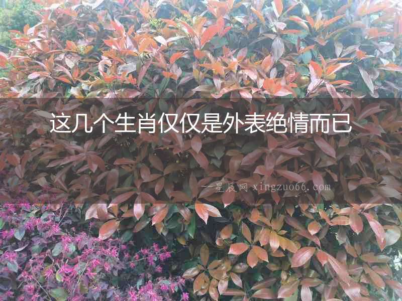 這幾個(gè)生肖僅僅是外表絕情而已
