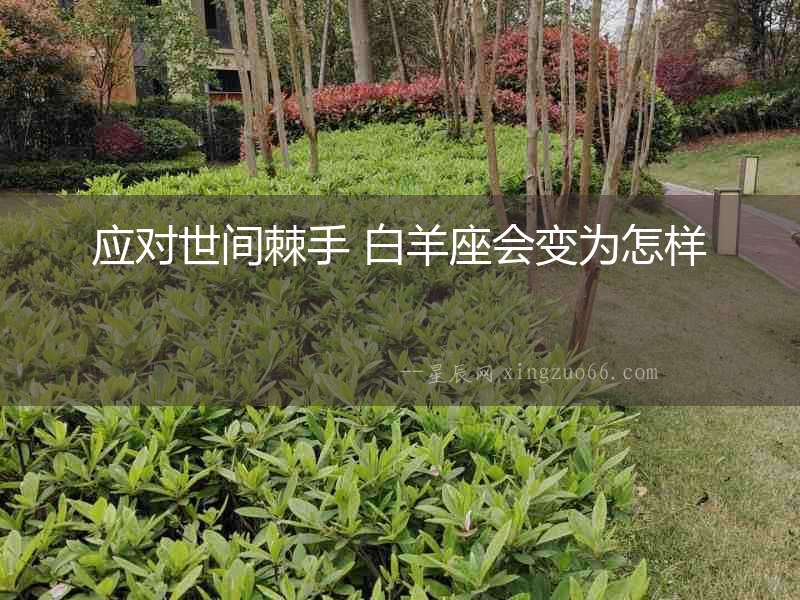 應對世間棘手 白羊座會變為怎樣