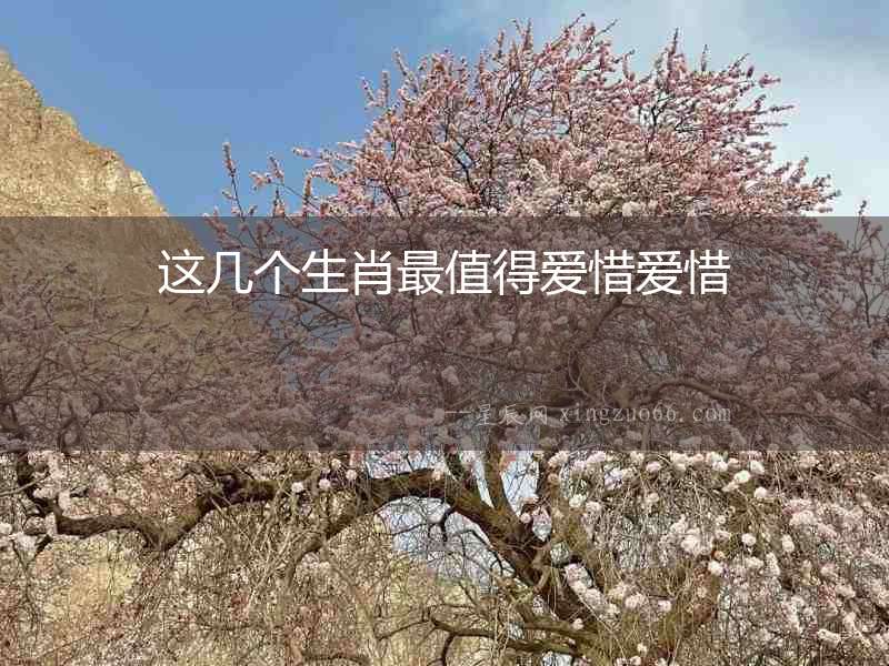 這幾個生肖最值得愛惜愛惜