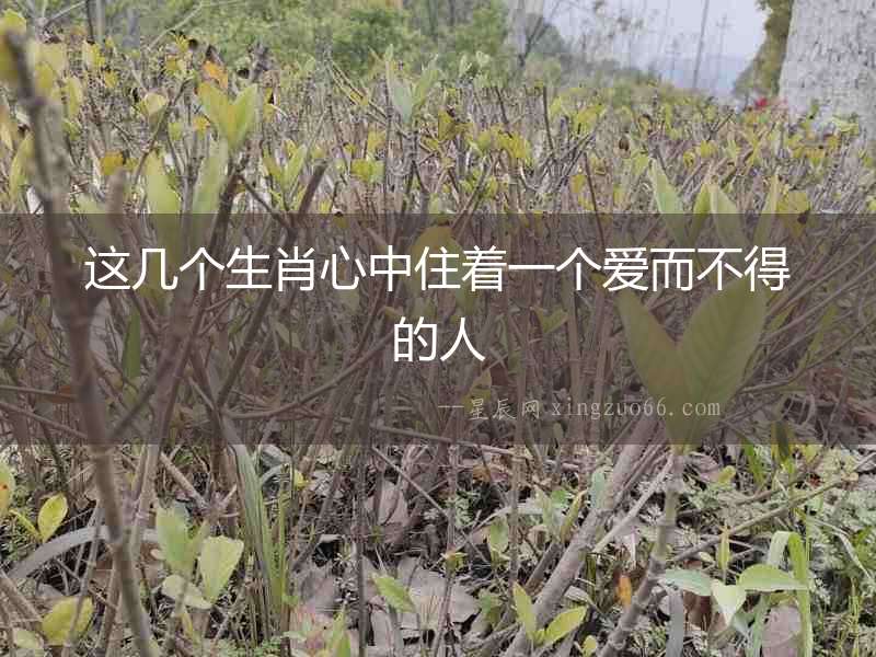 這幾個生肖心中住著一個愛而不得的人
