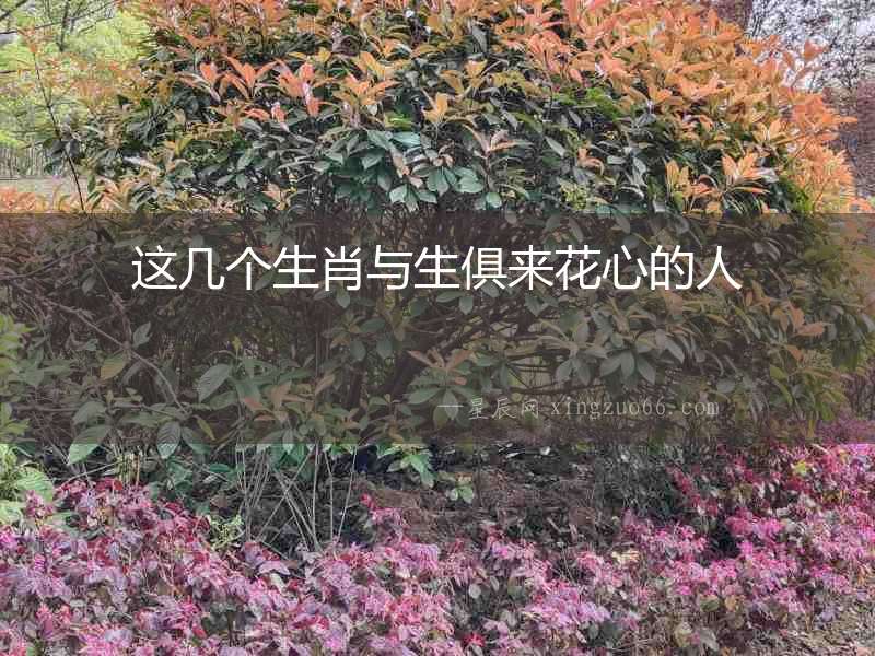 這幾個生肖與生俱來花心的人