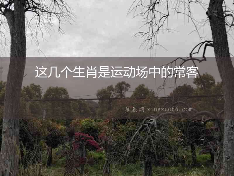 這幾個生肖是運動場中的常客
