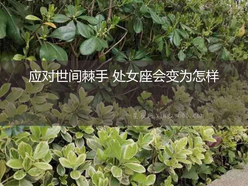 應對世間棘手 處女座會變為怎樣