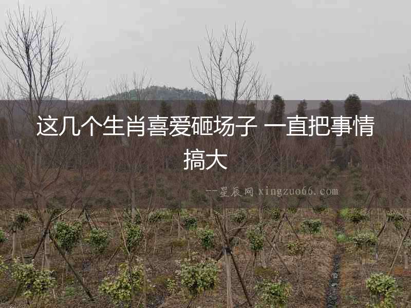 這幾個生肖喜愛砸場子 一直把事情搞大