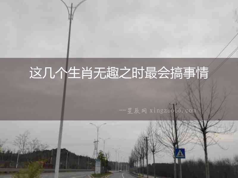 這幾個(gè)生肖無趣之時(shí)最會(huì)搞事情