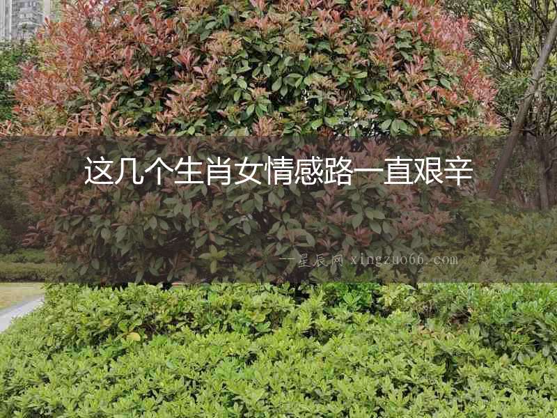 這幾個生肖女情感路一直艱辛