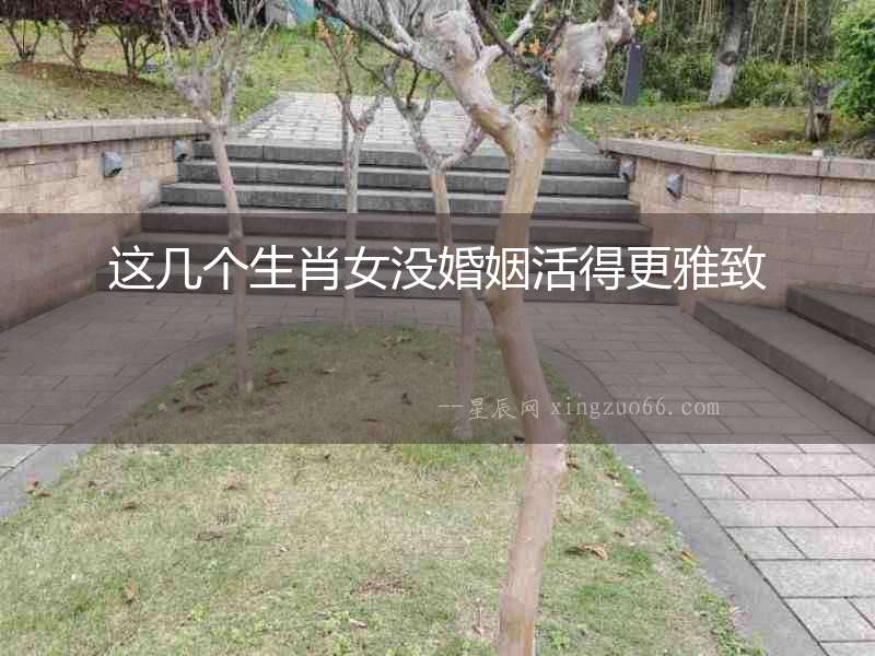 這幾個(gè)生肖女沒婚姻活得更雅致