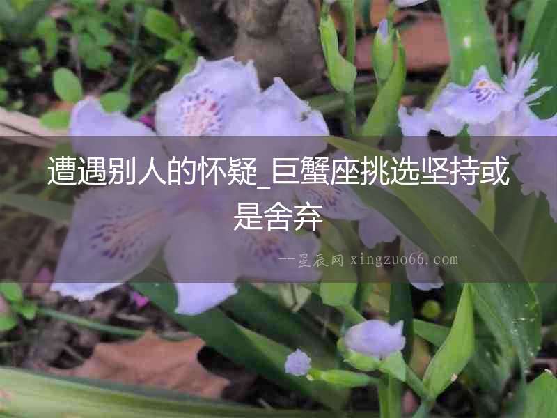 遭遇別人的懷疑_巨蟹座挑選堅持或是舍棄
