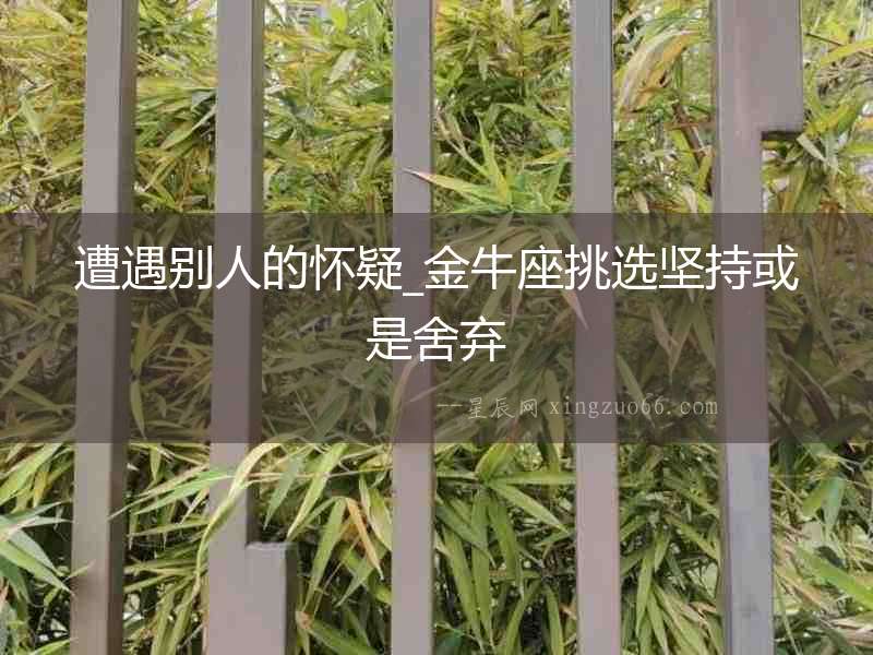 遭遇別人的懷疑_金牛座挑選堅持或是舍棄