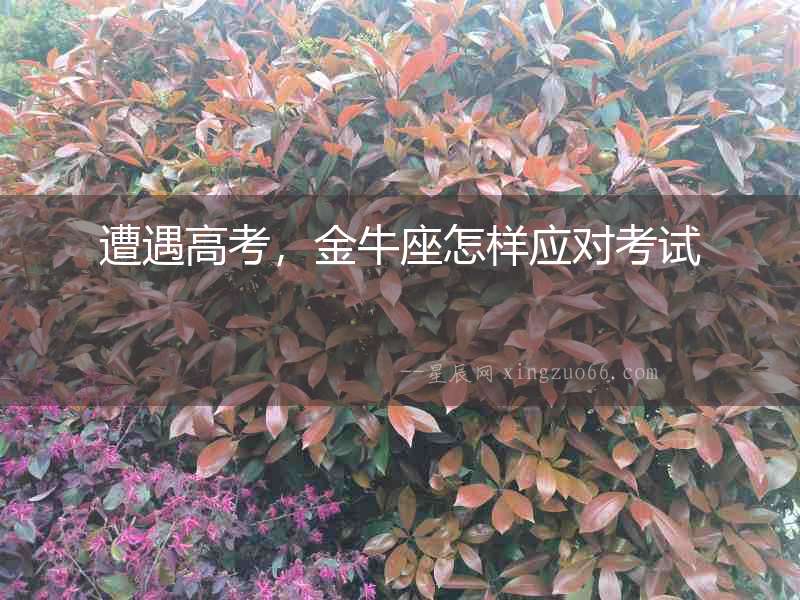 遭遇高考，金牛座怎樣應對考試