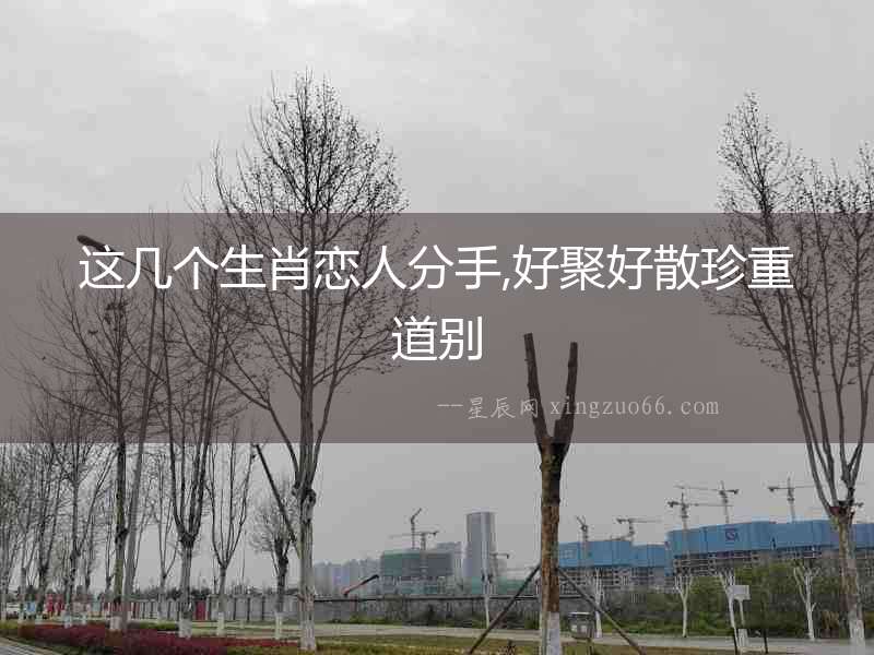 這幾個(gè)生肖戀人分手,好聚好散珍重道別