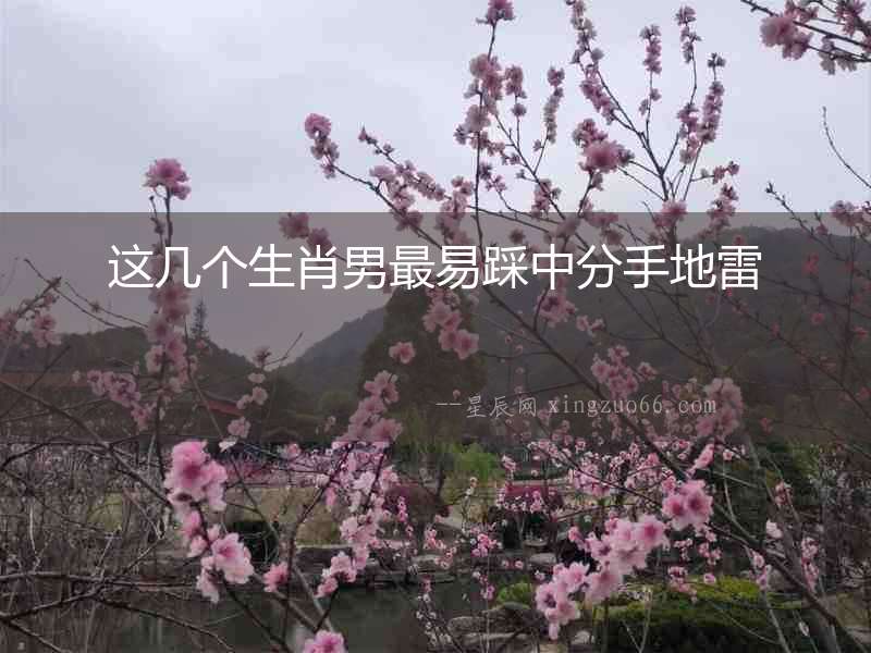 這幾個生肖男最易踩中分手地雷