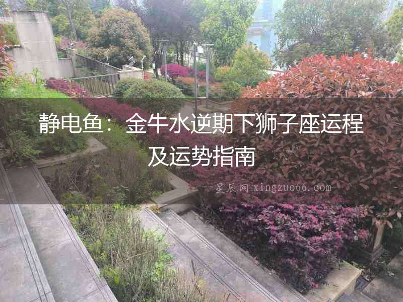 靜電魚：金牛水逆期下獅子座運程及運勢指南