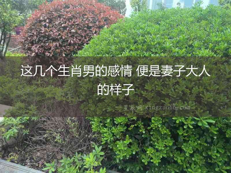 這幾個生肖男的感情 便是妻子大人的樣子