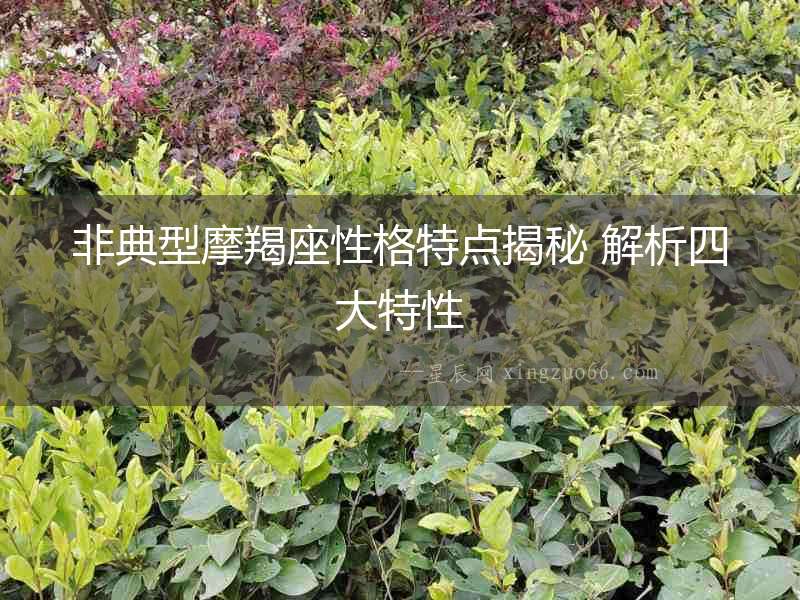 非典型摩羯座性格特點揭秘 解析四大特性