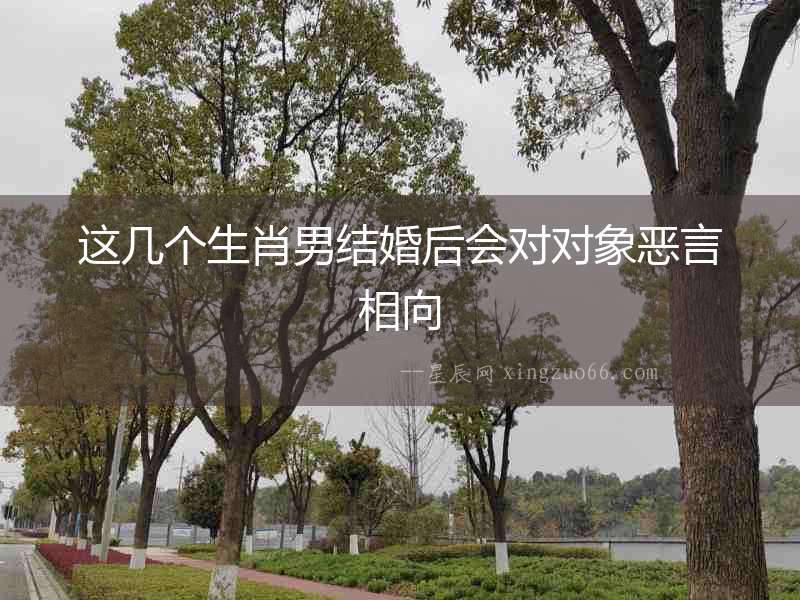 這幾個生肖男結婚后會對對象惡言相向