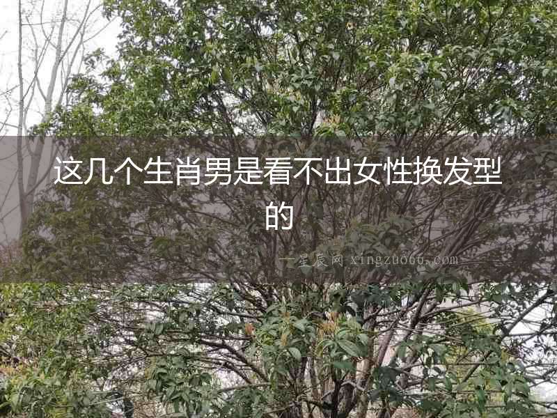 這幾個(gè)生肖男是看不出女性換發(fā)型的