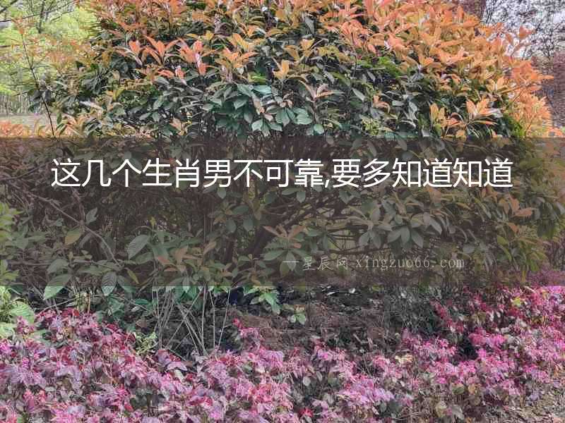 這幾個生肖男不可靠,要多知道知道