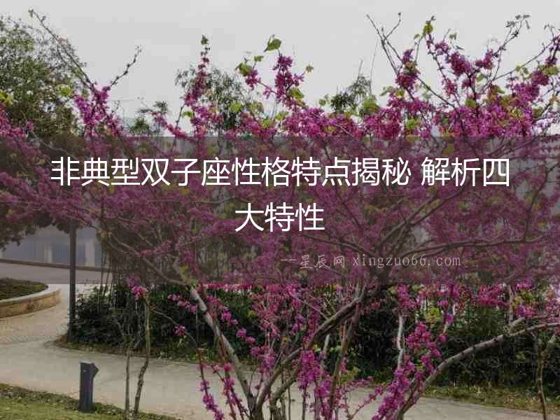 非典型雙子座性格特點(diǎn)揭秘 解析四大特性
