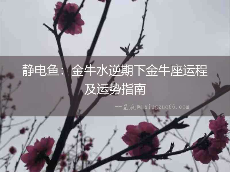 靜電魚：金牛水逆期下金牛座運(yùn)程及運(yùn)勢(shì)指南