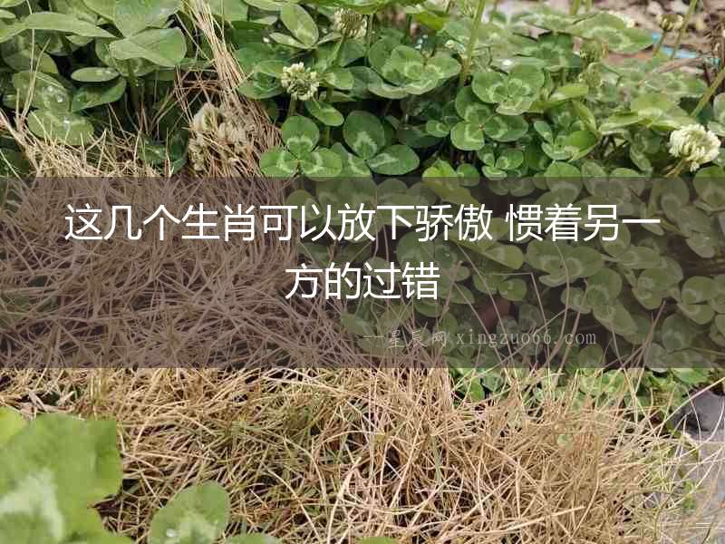 這幾個生肖可以放下驕傲 慣著另一方的過錯