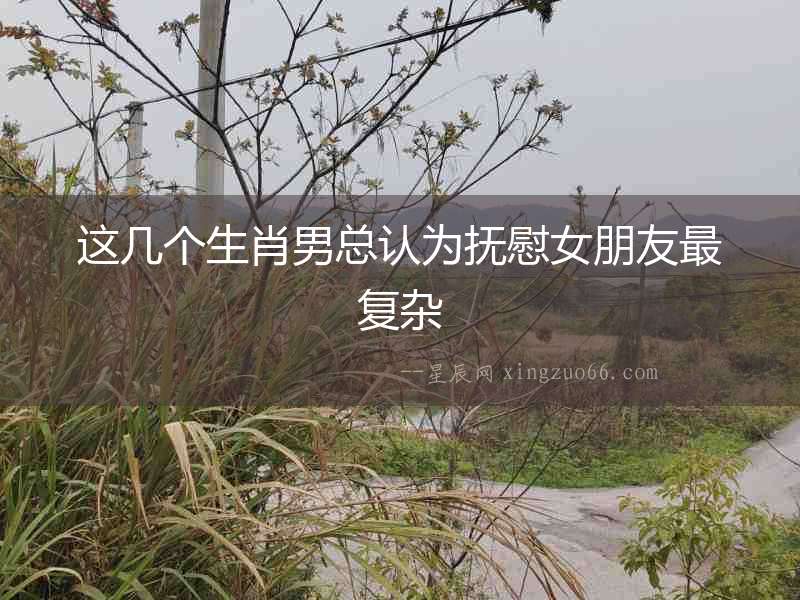 這幾個生肖男總認為撫慰女朋友最復雜