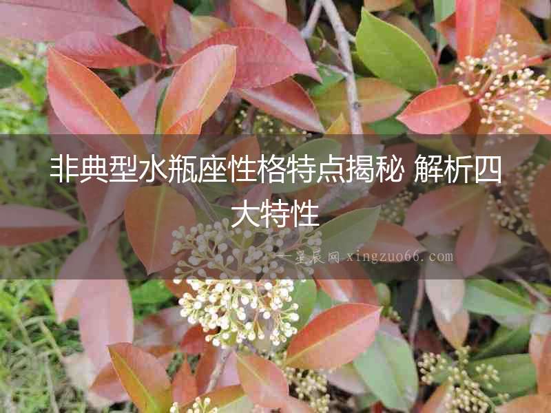 非典型水瓶座性格特點揭秘 解析四大特性
