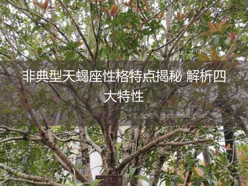 非典型天蝎座性格特點揭秘 解析四大特性