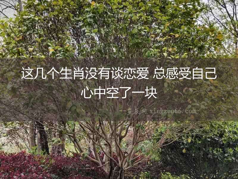 這幾個(gè)生肖沒(méi)有談戀愛(ài) 總感受自己心中空了一塊