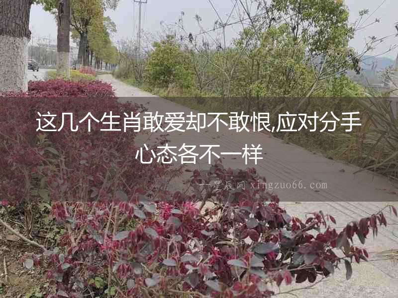 這幾個生肖敢愛卻不敢恨,應對分手心態(tài)各不一樣