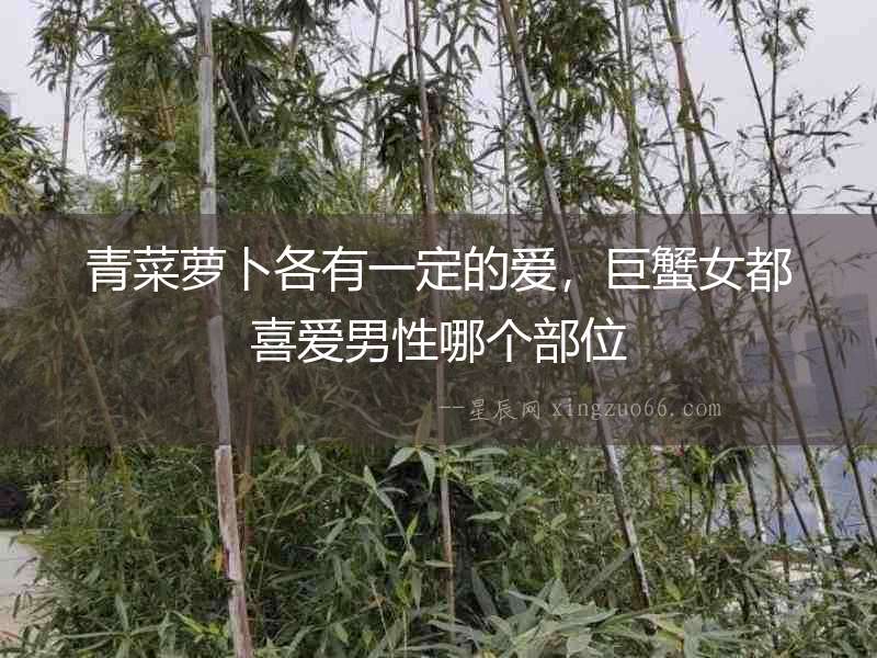 青菜蘿卜各有一定的愛，巨蟹女都喜愛男性哪個部位