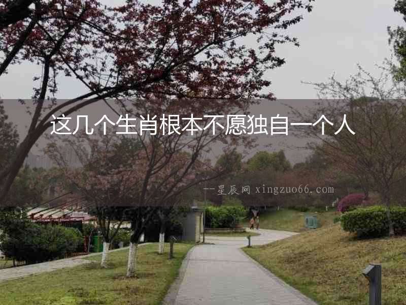 這幾個生肖根本不愿獨自一個人