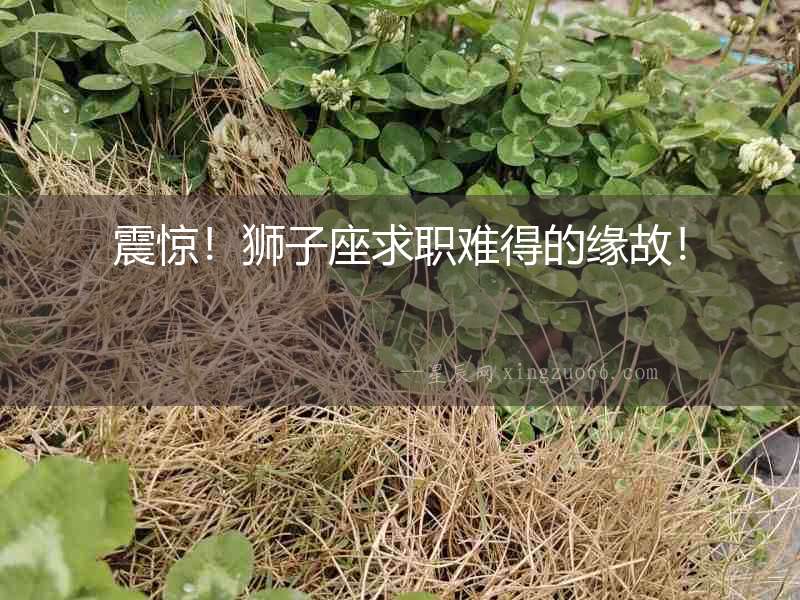 震驚！獅子座求職難得的緣故！