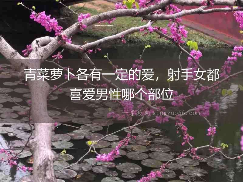 青菜蘿卜各有一定的愛(ài)，射手女都喜愛(ài)男性哪個(gè)部位