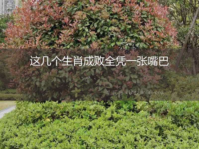 這幾個生肖成敗全憑一張嘴巴