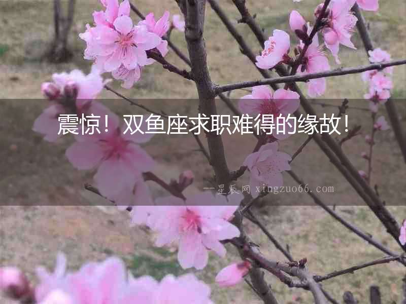 震驚！雙魚座求職難得的緣故！