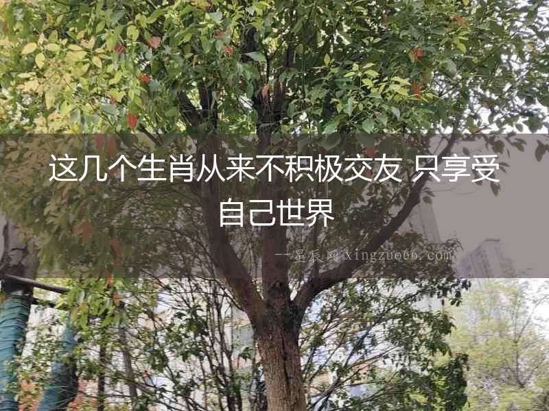 這幾個(gè)生肖從來(lái)不積極交友 只享受自己世界