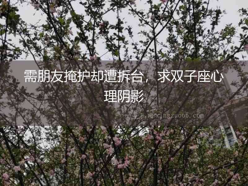 需朋友掩護卻遭拆臺，求雙子座心理陰影