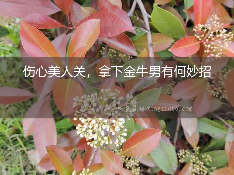 傷心美人關(guān)，拿下金牛男有何妙招