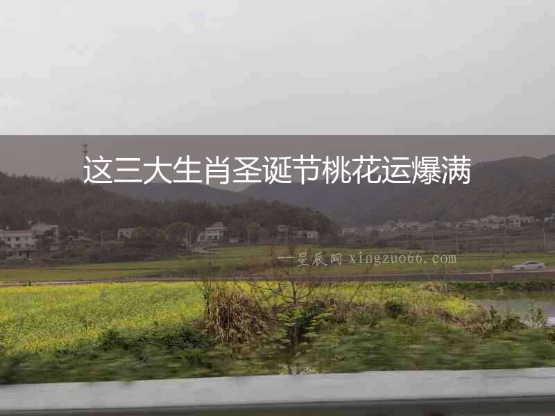 這三大生肖圣誕節桃花運爆滿