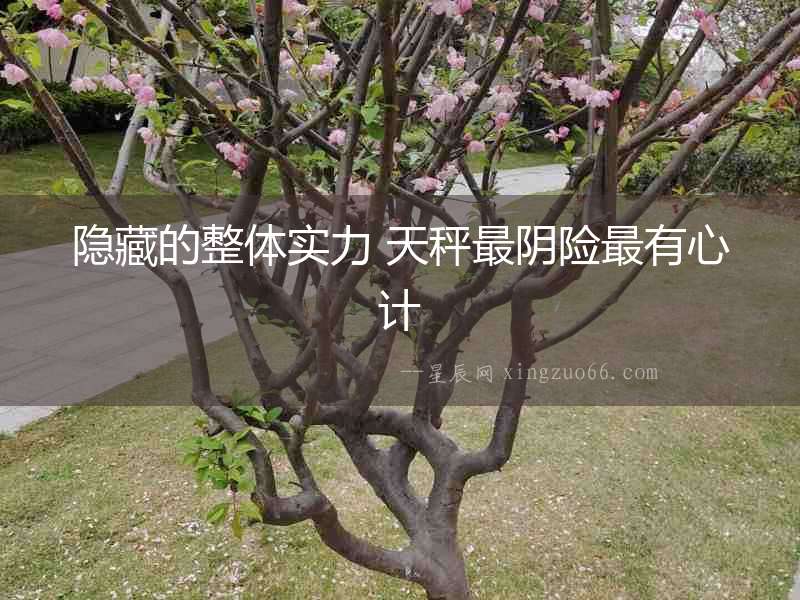 隱藏的整體實(shí)力 天秤最陰險(xiǎn)最有心計(jì)