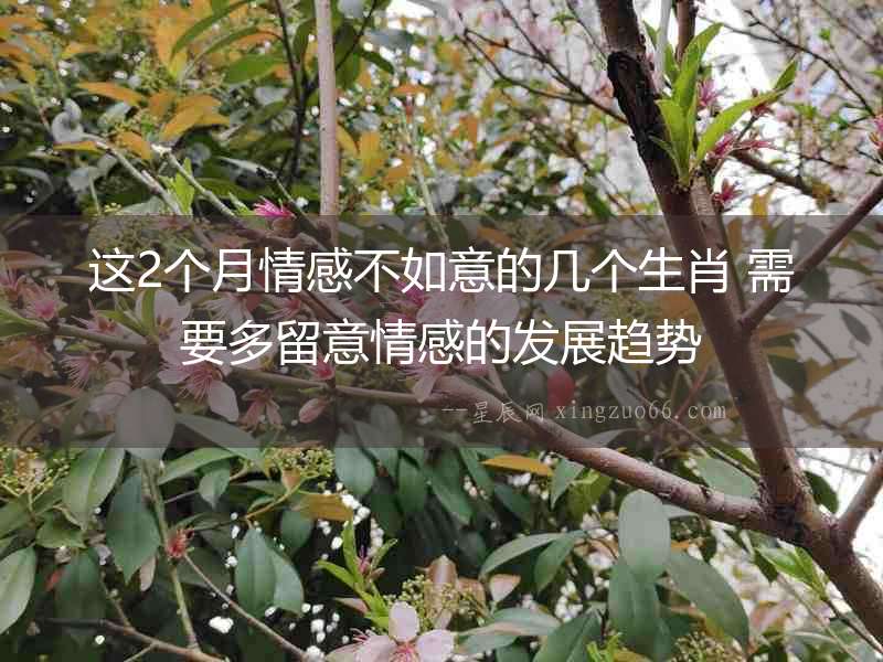 這2個月情感不如意的幾個生肖 需要多留意情感的發(fā)展趨勢