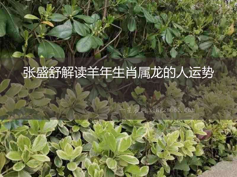 張盛舒解讀羊年生肖屬龍的人運勢
