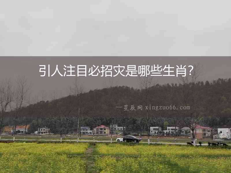 引人注目必招災是哪些生肖？